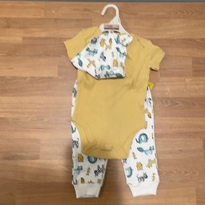 Chickpea Baby clothes 3 piece set with pants, top and hat. Animal theme.